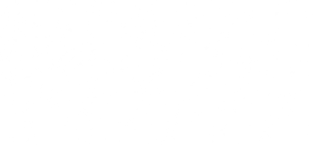 aden-and-anais-pattern