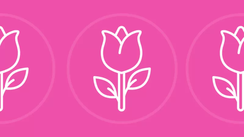 Blog Banner