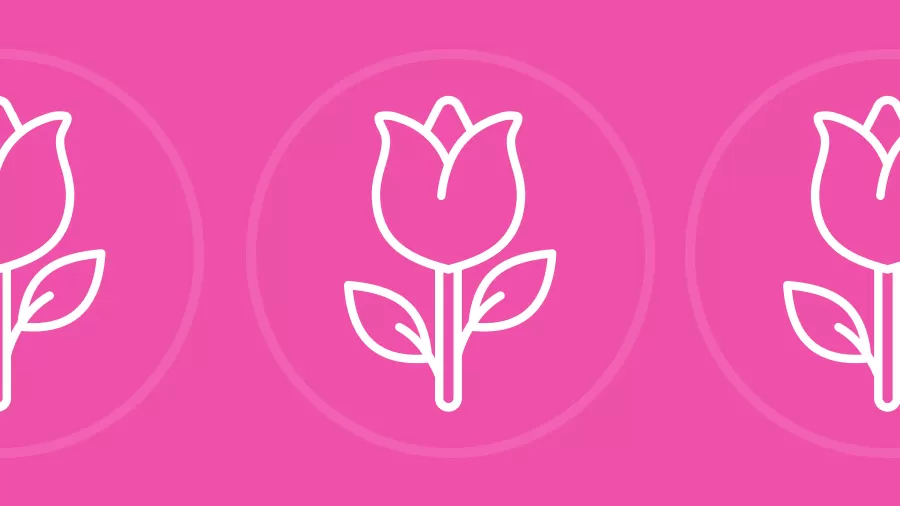 Blog Banner
